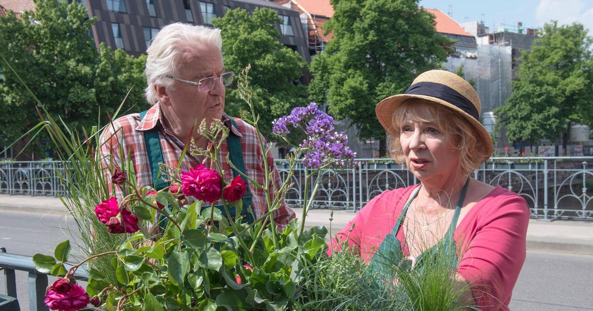 ard sendung verpasst rote rosen ard sendung verpasst rote rosen