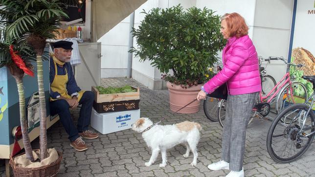 Bild: ARD/Nicole Manthey Johanna (Brigitte Antonius) ist getroffen, als Walter (Ludger Burmann) ihr auf den Kopf zusagt, dass Betty sie schlicht und ergreifend nicht mag.