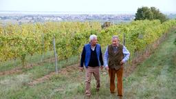 Urlaubsvisite im Burgenland: Thomas (Gerry Hungbauer) lässt sich von Ferdi Hofleitner (Fritz von Friedl), dem Freund seiner Mutter, das Weingut zeigen.