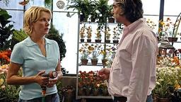 Thierry und Alice