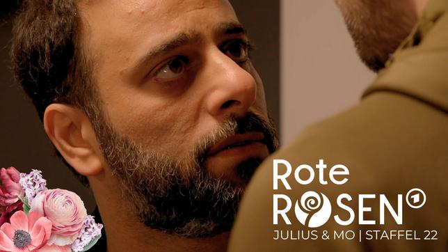 Mo und Julius: Die Fortsetzung