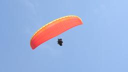 Paraglider