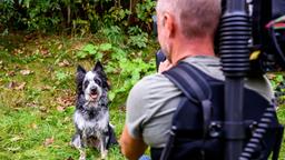 Sturm der Liebe Backstage Making-of Dreharbeiten Hündin Hund Jeannine Wacker Alexander Milz