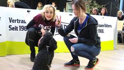 Sturm der Liebe Hundecasting Isabella Hübner