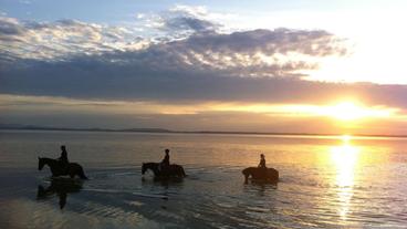 Drei Reiter reiten mit ihren Pferden im Wasser vor einem Sonnenuntergang