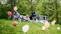 Sturm der Liebe Making-of der Traumhochzeit Sebastian Luisa