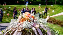 Sturm der Liebe Making-of der Traumhochzeit Sebastian Luisa