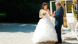 Sturm der Liebe: Pauline und André kommen mit der Brautkutsche am Fürstenhof an