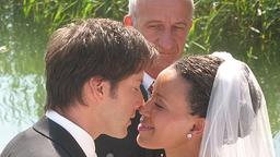 Samia, Gregor, Pachmeyer
