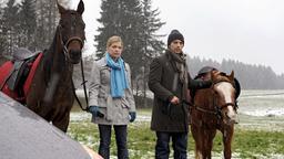 Lena und Robert halten die Pferde