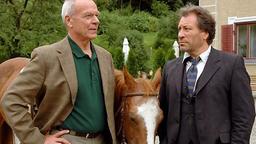 Werner und Johann