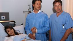 Gergor, Leonie u. Dr. Sauer