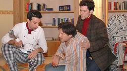 Alexander, Gregor und Robert