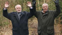 Alfons und Werner