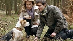Fiona und Ben finden den entwischten Hund