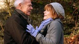 Werner zerrt an Sylvia