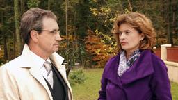 Herrn Fuchs und Cosima