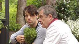 André und Robert