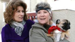 Cosima, Hildegard und der Mops