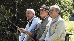 Werner, André und Alfons