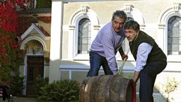 André und Julius
