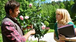 Jacob und Rosalie