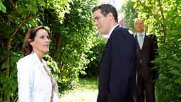 Jenny, Xaver und Werner