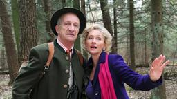 Pachmeyer und Viola