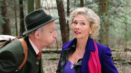 Pachmeyer und Viola
