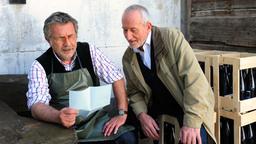 Alfons und Julius
