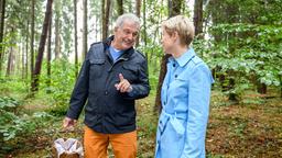 André (Joachim Lätsch) ist so verzaubert von Linda (Julia Grimpe), dass er im Wald die Orientierung verliert.