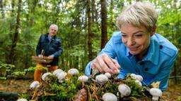 André (Joachim Lätsch) und Linda (Julia Grimpe), suchen gemeinsam nach Pilzen.