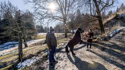 Bei einem Spaziergang suchen Bela (Franz-Xaver Zeller) und Lucy (Jennifer Siemann) nach einer Lösung für "Ponys" Problem.