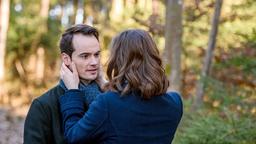 David (Michael Kühl)  ist tief enttäuscht und glaubt, dass er für die Liebe eine Fehlbesetzung ist. Tina (Christin Balogh) sieht das jedoch anders …