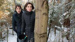 Sturm der Liebe Folge 2195 02.04.2015: Sebastian und Patrizia verstecken sich hinter einem Baum