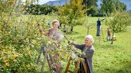 Franzi (Léa Wegmann) und Margit (Michaela Stögbauer) spritzen ihre Apfelbäume (mit Komparsen).