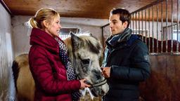 Luisa (Magdalena Steinlein) bedankt sich bei David (Michael N. Kühl) für dessen Unterstützung bei der Betreuung ihren kranken Pferdes.