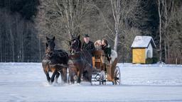 Maja (Christina Arends, h.) und Florian (Arne Löber, h.) genießen die romantische Pferdeschlittenfahrt (mit Komparse).