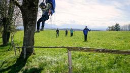 Max’ (Stefan Hartmann, l.) Gratis-Fallschrimsprung endet im Baum. Ausgerechnet Werner (Dirk Galuba, r.) kommt ihm mit der Nordic-Walking-Gruppe (Komparsen) zu Hilfe.