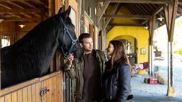 Tim (Florian Frowein) zeigt Nadja (Anna Lena Class) das Gestüt.