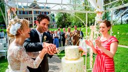 Traum-Hochzeit im Park des Fünf-Sterne-Hotels "Fürstenhof": Luisa (Magdalena Steinlein) und Sebastian (Kai Albrecht) schneiden die Hochzeitstorte an. Trauzeugin vor Tina (Christin Balogh) und Hochzeitsgäste applaudieren.