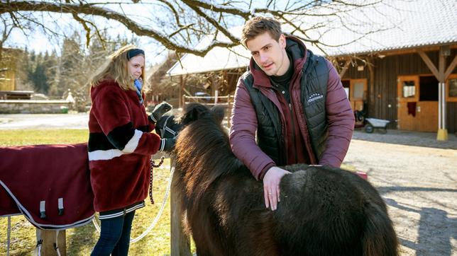 Bild: ARD/Christof Arnold Um das Wohlbefinden des Ponys zu verbessern, beginnt Paul (Sandro Kirtzel) mit einer Massage, was Lucy (Jennifer Siemann) interessiert beobachtet.