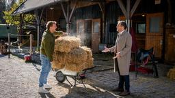 Vincent (Martin Walde) lässt seinen Frust über Ana an Markus (Timo Ben Schöfer) aus.