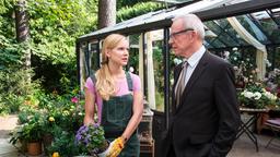 Werner (Dirk Galuba) bietet Luisa (Magdalena Steinlein) an, seinen Job als Vermögensverwalter zu räumen.