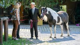 Werner (Dirk Galuba) schenkt Viktor (Sebastian Fischer) und Alicia (Larissa Marolt) das Pferd "Cassie".
