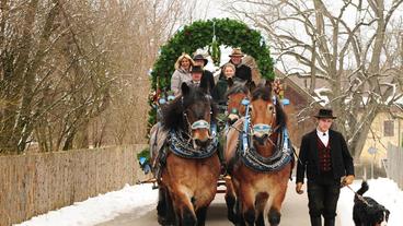 Alle auf der Kutsche