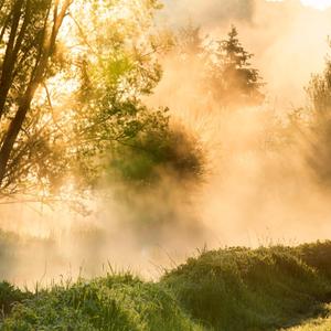 Fluss Eau Blanche im Nebel bei Sonnenaufgang, Belgien, Wallonien, Viroinvallei, Dourbes