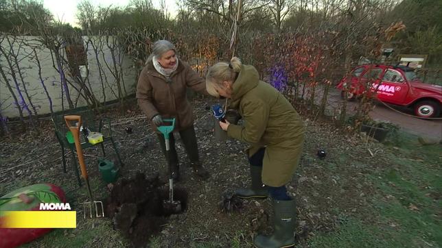 Dorothée Waechter und Jule Schöning pflanzen einen Baum. 