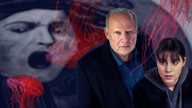 Bild: NDR/Thorsten Jander/Sabrina Raap Das Cover zum Tatort "Borowski und das Haupt der Medusa".
